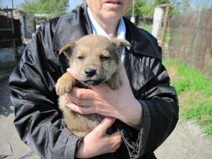 Прикачена снимка