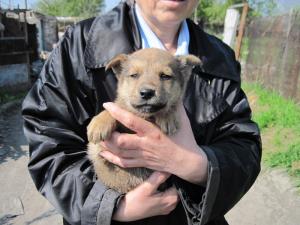 Прикачена снимка
