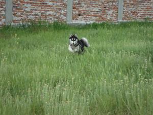 Прикачена снимка