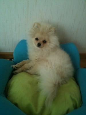 Прикачена снимка