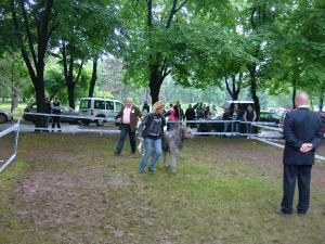 Прикачена снимка
