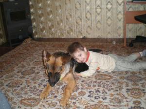 Прикачена снимка
