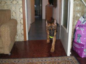 Прикачена снимка