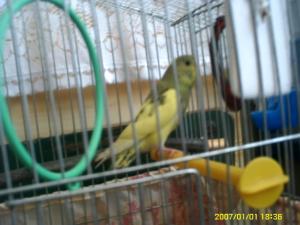 Прикачена снимка