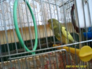 Прикачена снимка