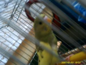 Прикачена снимка