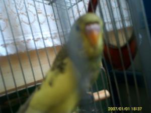 Прикачена снимка