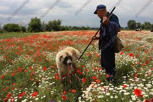 Прикачена снимка