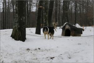 Прикачена снимка