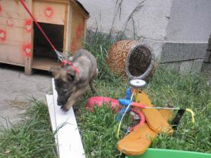 Прикачена снимка