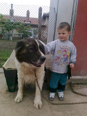 Прикачена снимка