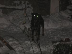 Прикачена снимка