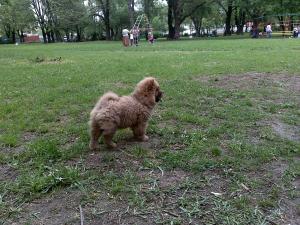 Прикачена снимка