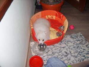 Прикачена снимка