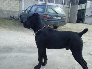 Прикачена снимка