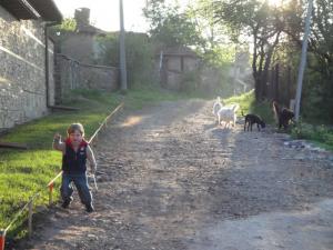 Прикачена снимка