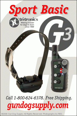 Прикачена снимка