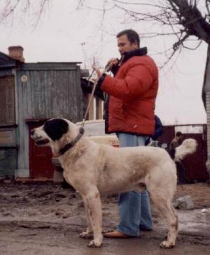 Прикачена снимка