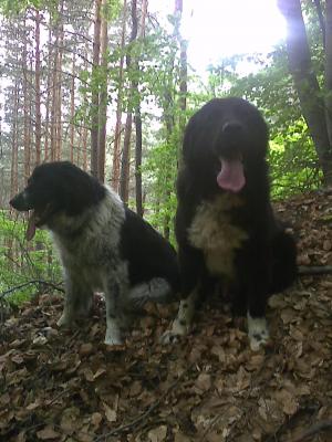 Прикачена снимка