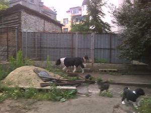 Прикачена снимка
