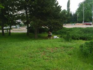 Прикачена снимка