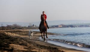 Прикачена снимка