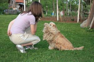 Прикачена снимка