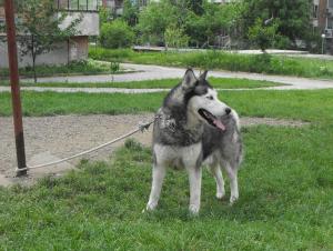 Прикачена снимка