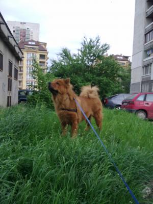 Прикачена снимка