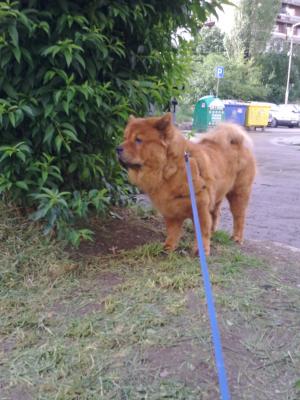 Прикачена снимка