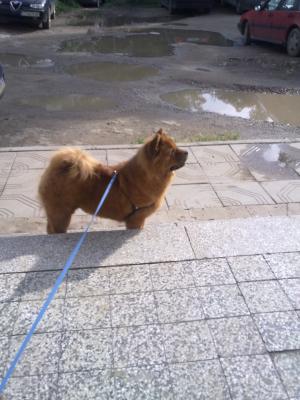 Прикачена снимка