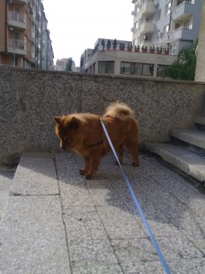 Прикачена снимка