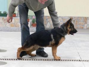 Прикачена снимка
