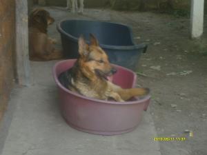 Прикачена снимка