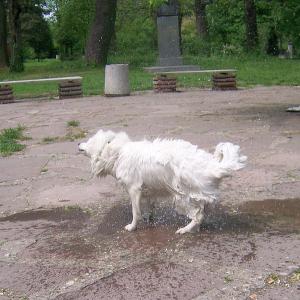 Прикачена снимка