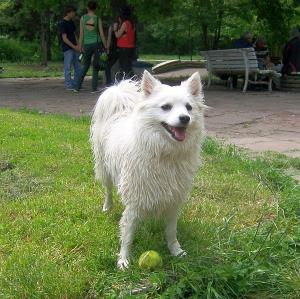 Прикачена снимка