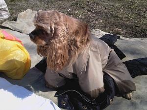 Прикачена снимка