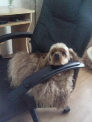 Прикачена снимка