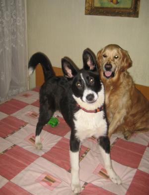 Прикачена снимка