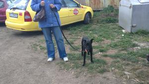 Прикачена снимка