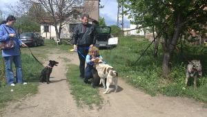 Прикачена снимка