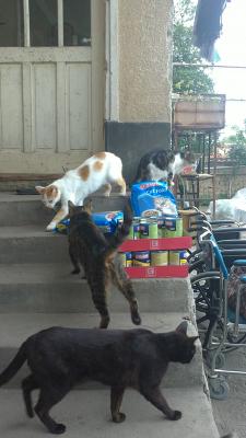 Прикачена снимка