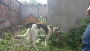 Прикачена снимка