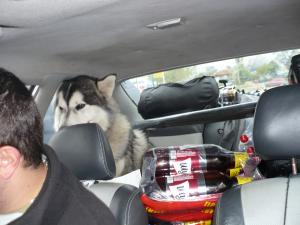 Прикачена снимка