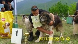 Прикачена снимка