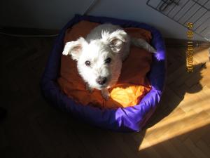 Прикачена снимка