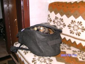 Прикачена снимка