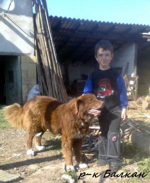 Прикачена снимка