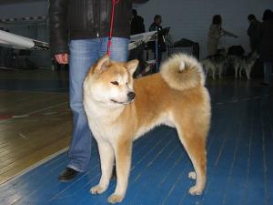 Прикачена снимка