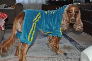 Прикачена снимка